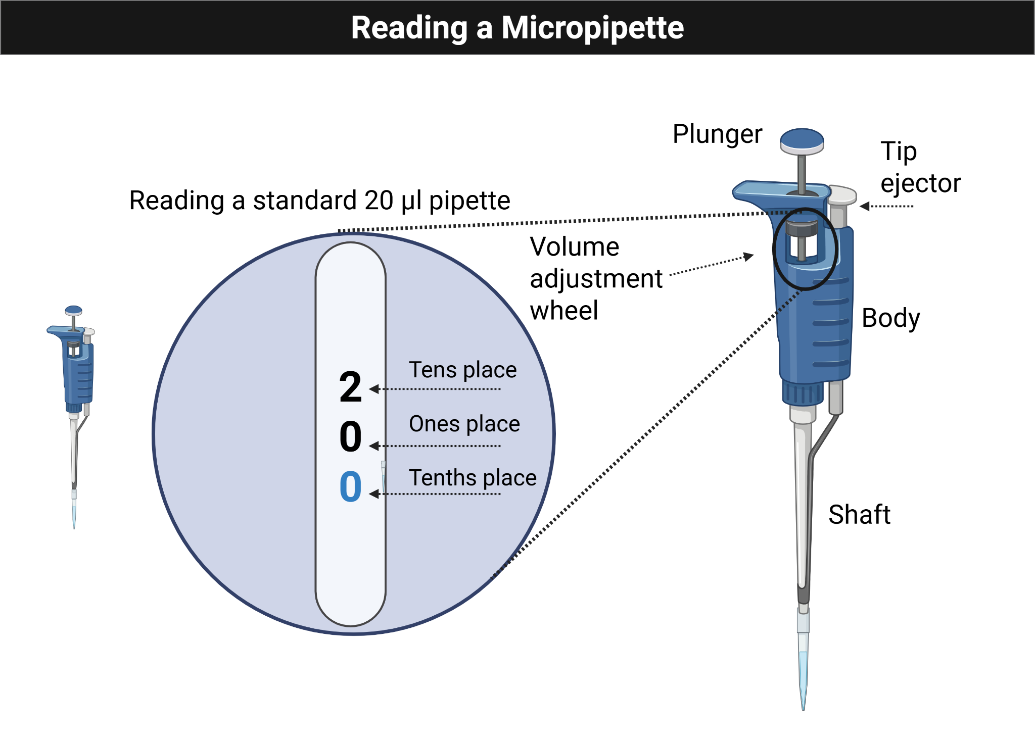 Illustration of a micropipette with the volume display highlighted.