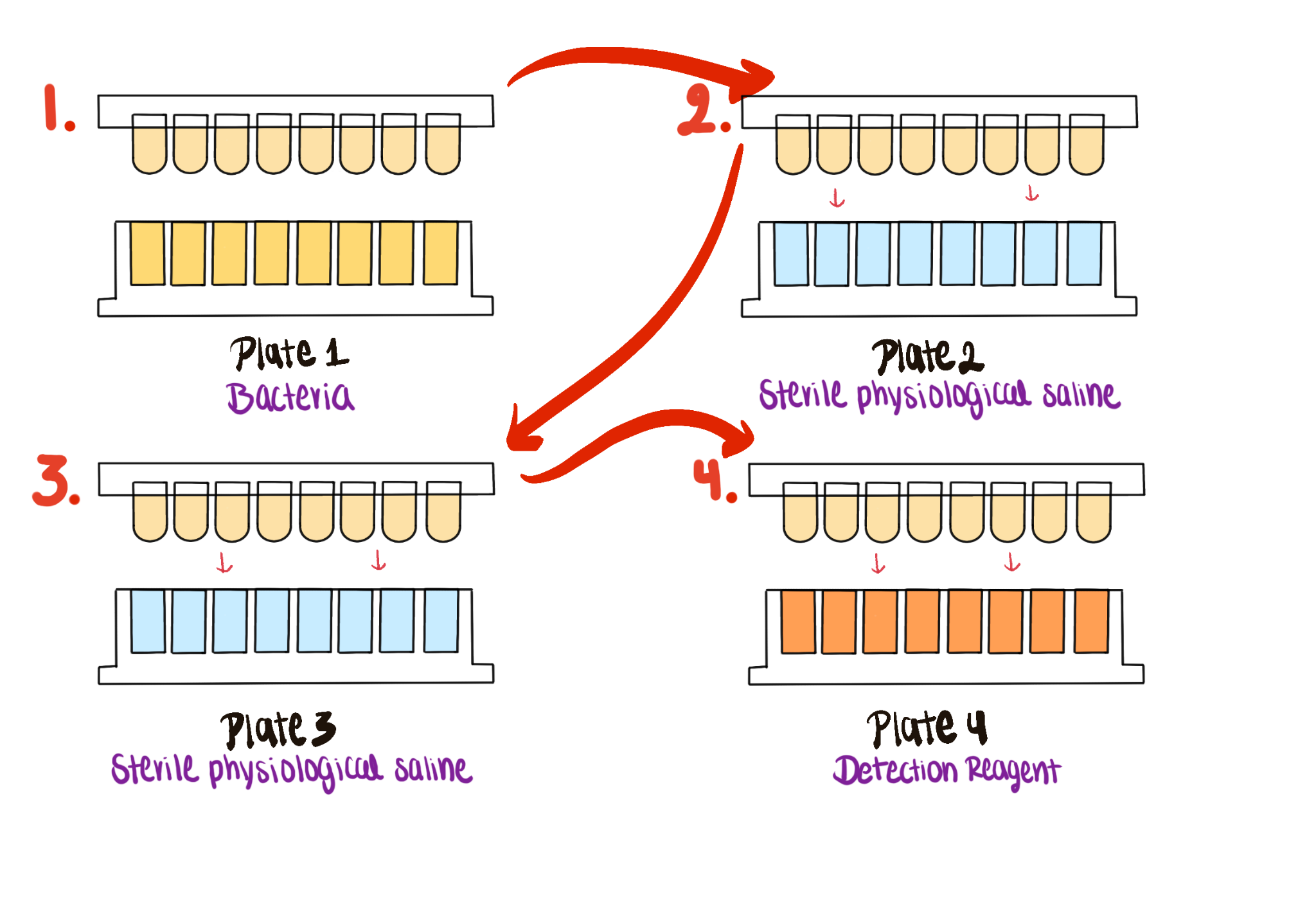 Workflow diagram showing peg-lid washing and viability readout steps.